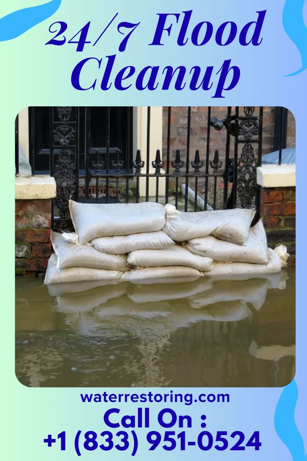 24/7 Flood Cleanup in Mitchell, GA